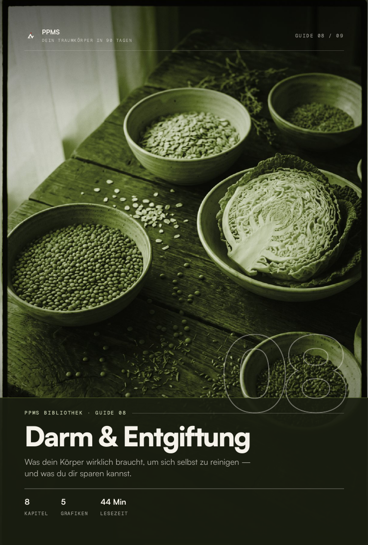 Cover des Guides Darm & Entgiftung