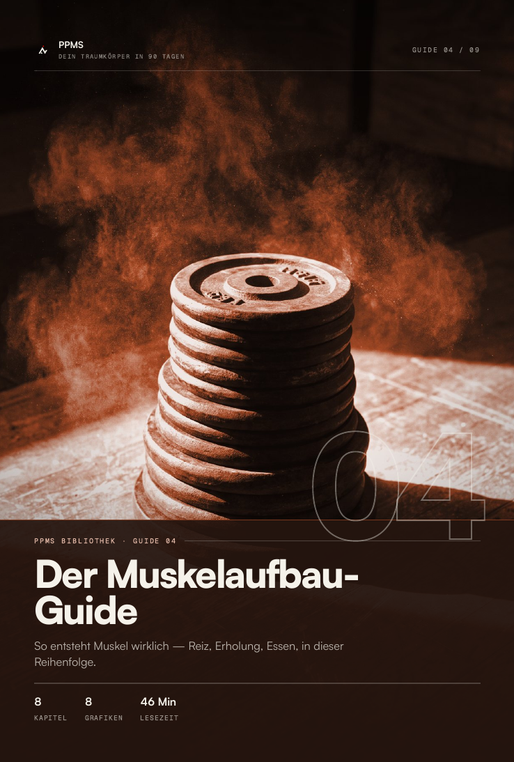 Cover des Guides Der Muskelaufbau-Guide
